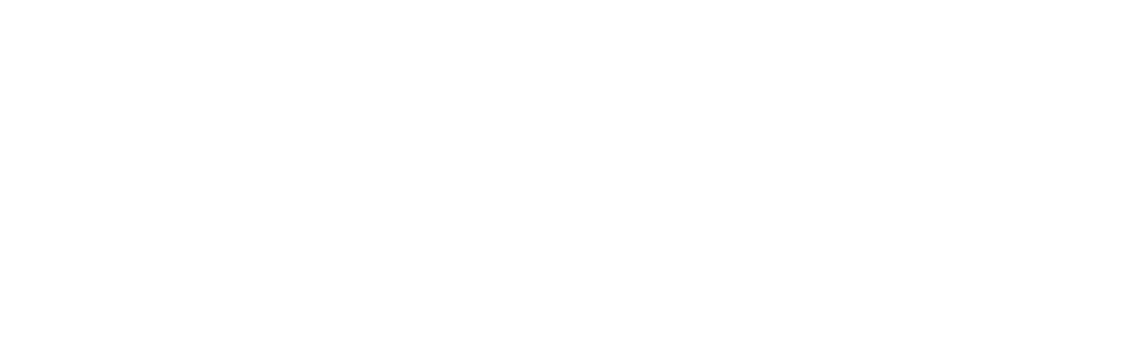 NewVision Solutions Ltd